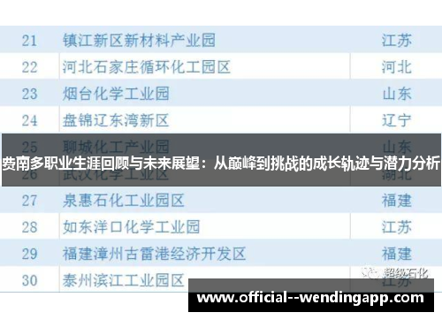 费南多职业生涯回顾与未来展望：从巅峰到挑战的成长轨迹与潜力分析