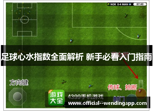 足球心水指数全面解析 新手必看入门指南 足球心水指数全面解析 新手必看入门指南