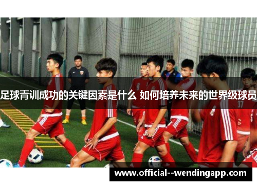 足球青训成功的关键因素是什么 如何培养未来的世界级球员 足球青训成功的关键因素是什么 如何培养未来的世界级球员